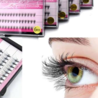Eyelash extensions
