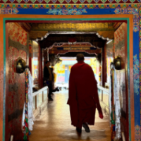 Tenzin Travel