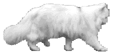 JmQFX3vVJofsA15SkQQpIiz1Q0_51wpQ0y5kaeDokZU=