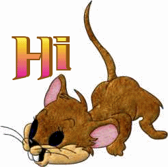 Mouse-Hi
