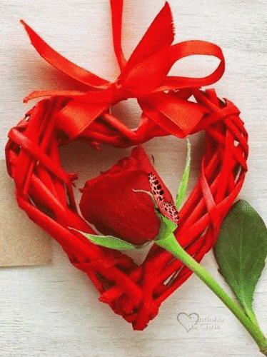 iwY1dZ5JAanqILDMq2giAdytP22ziQXZiNV9Evi3nUcMIFcMcCudjdqxFEWDvAE8