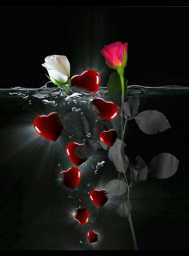 wQnCk0uSlLblArY4ZcfODqB0aG7wF8lmZY4dBuceX59xYs83C3B5tg_WAuiukX55[1]