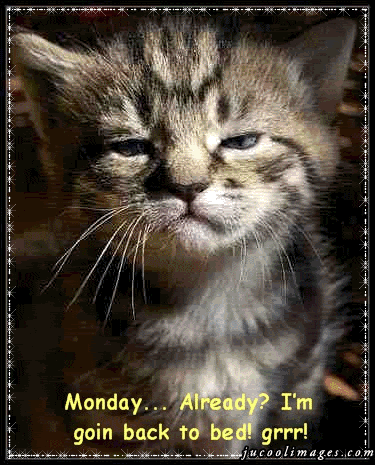 monday_55