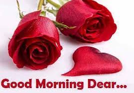 7ad98ca161c01d35a9d2a93a5a496ed9