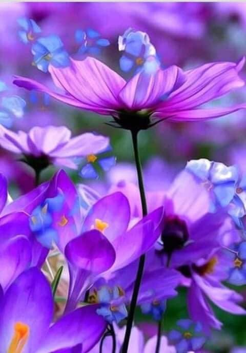 Good night!