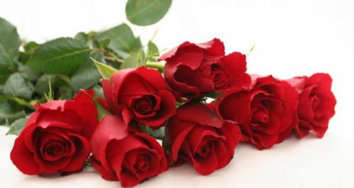 images (4)