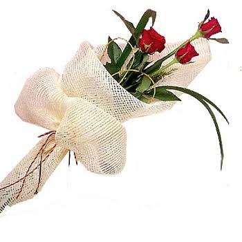 images (9)