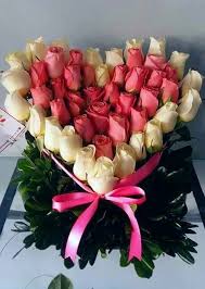 images-8