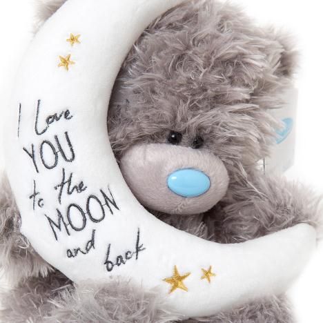 9_ Love You to The Moon Me to You Bear