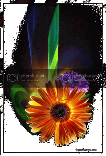 flowers_96