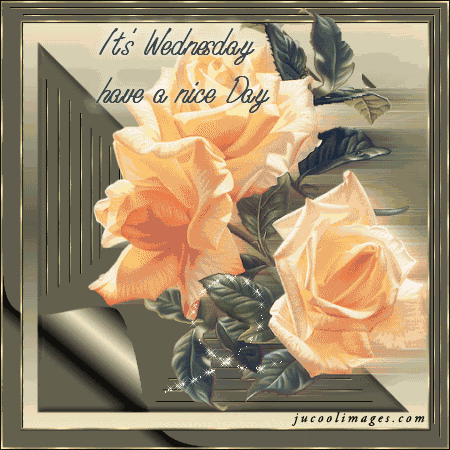 m67dRAjGkCBa3wX0lw0RaU4sx1LWGjLgBIRy8YowbpPKJkPcAWewzuwzztpu-Urx
