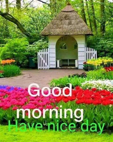 WhatsApp Image 2021-10-15 at 7.05.40 AM