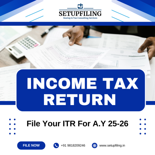 income tax return