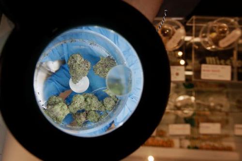 DC Weed Delivery | Exotic Dreams Dispensary