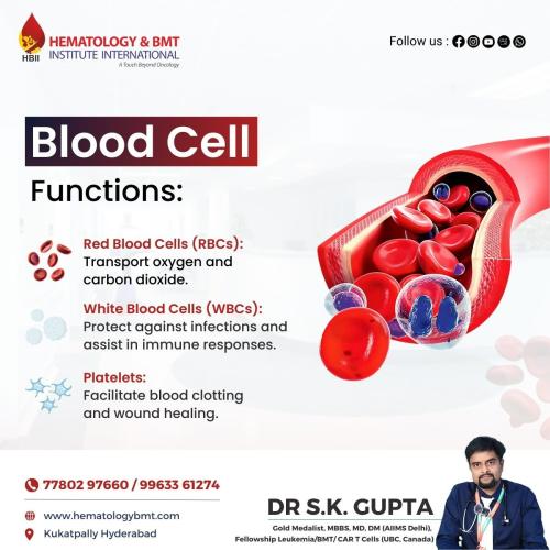 RedBloodCells