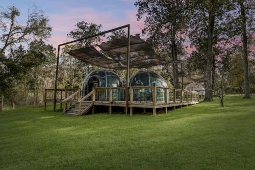 Glamping Domes