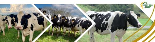 fresh-milk-home-delivery