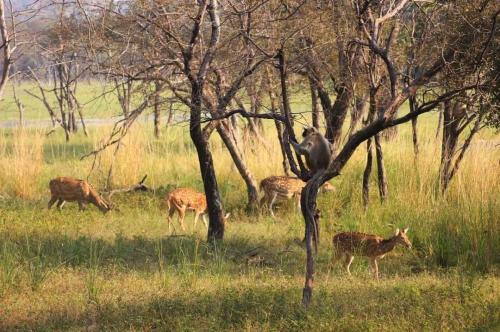RAJASTHANTOURPACKAGEFROMKALKATTA1