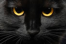 January 5, 2020