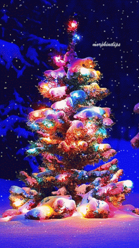 December 16, 2019