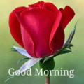 Jadeed khan