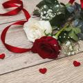 love • roses