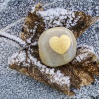 golden heart