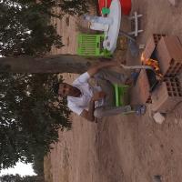 Kamel