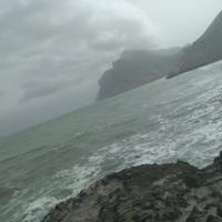 Welly
