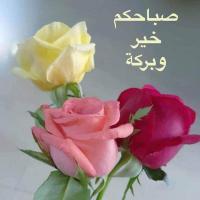 Mohammed