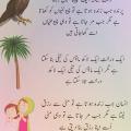 Jallli