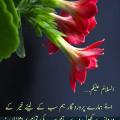 Hukum