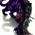 jaguar negro
