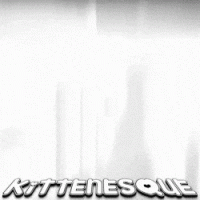 KiTTEN【≽ܫ≼】