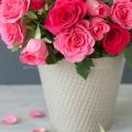 Prashant Chouhan