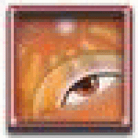Davidfum