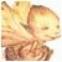 Williammob