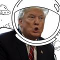 Lost In Space