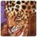 Jasonbiz