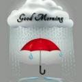 Pandit