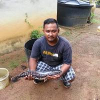 helmy rizal