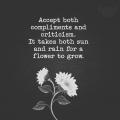 Frinces