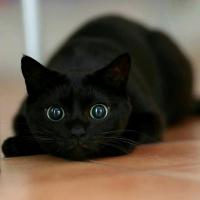Blacker