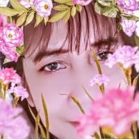 Pink gemini