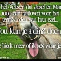 Johann