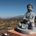 Buda