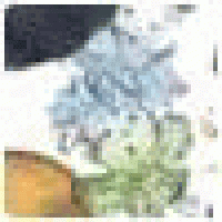 Grantric