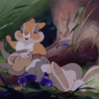 Thumper LOVE Bambi