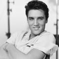 Elvis
