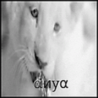 ANYA